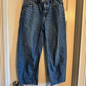 American Eagle Outfitters Barrel Jeans